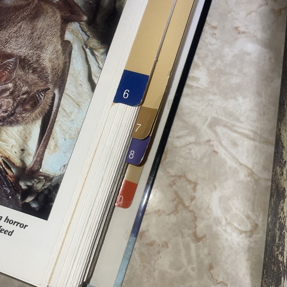 wildlife fact file Sections 6-11, Roughly 350 Cards - Picture 4 of 15